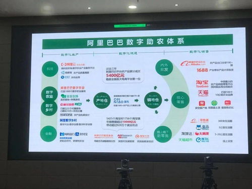 数字赋能 链动全球 中国农产品电商的崛起与数字内容服务新篇章